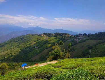 Darjeeling