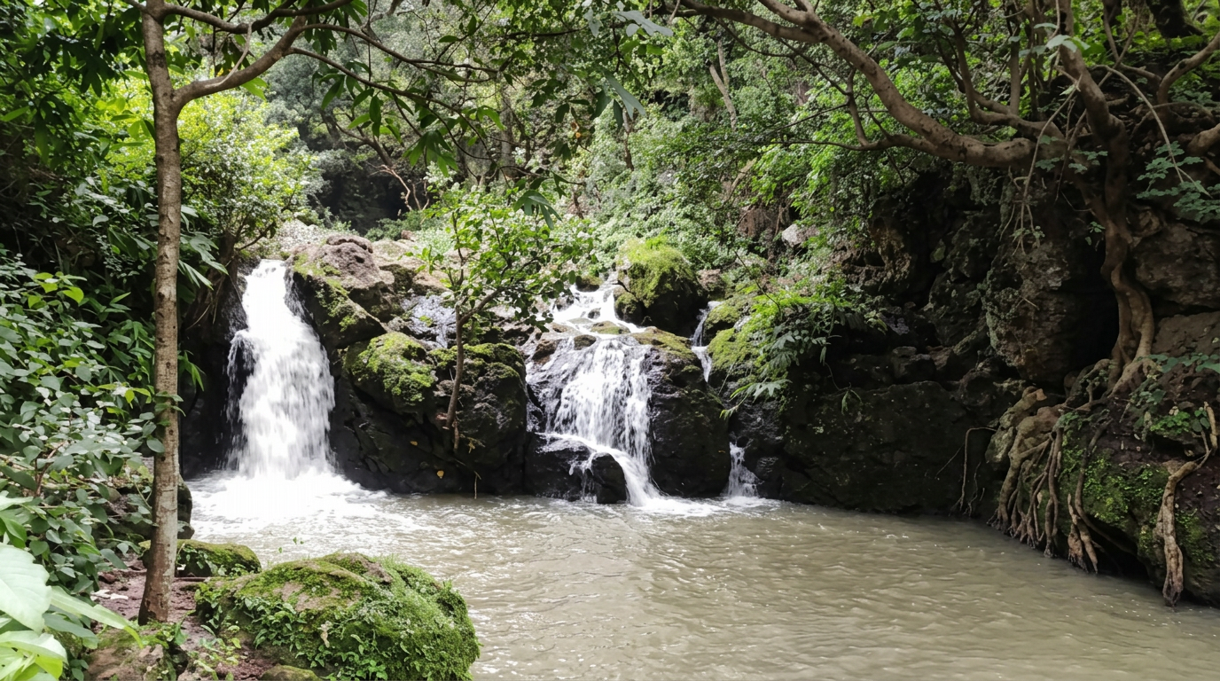 Upper Ghagri Falls near Netarhat — hidden waterfall in dense Jharkhand forest
